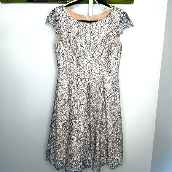 Eliza J Cream & Black Lace Cocktail Dress with Pockets Size 4 - Picture 1 of 15